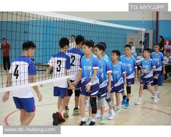 深圳排球队逆袭之路的真实记录与奋斗精神的展现