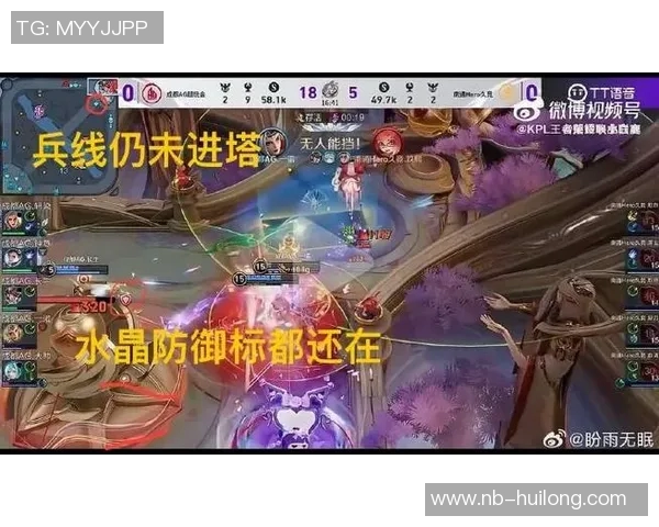 深度分析V5战队区域防守策略及其在比赛中的应用效果