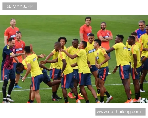 哥伦比亚与巴拉圭比赛前瞻及胜负预测分析详解