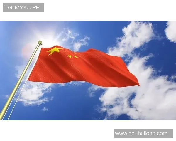 张宁的成长之路：从青涩少年到职场精英的奋斗故事与人生感悟