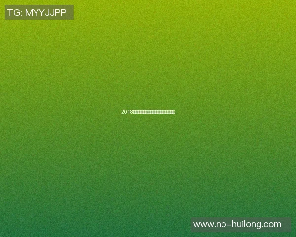 2018年不来梅与汉堡的激烈对决回顾与分析